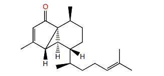 Anthogorgiene P